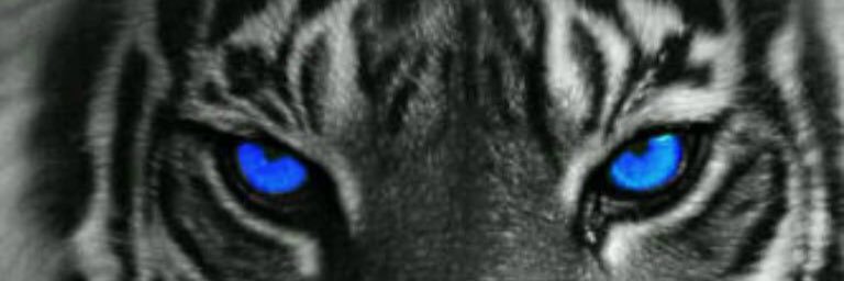 . banner