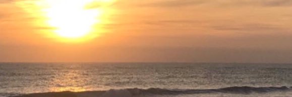 tudopeachyy's profile banner image