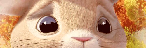 1Dto5secs's profile banner image