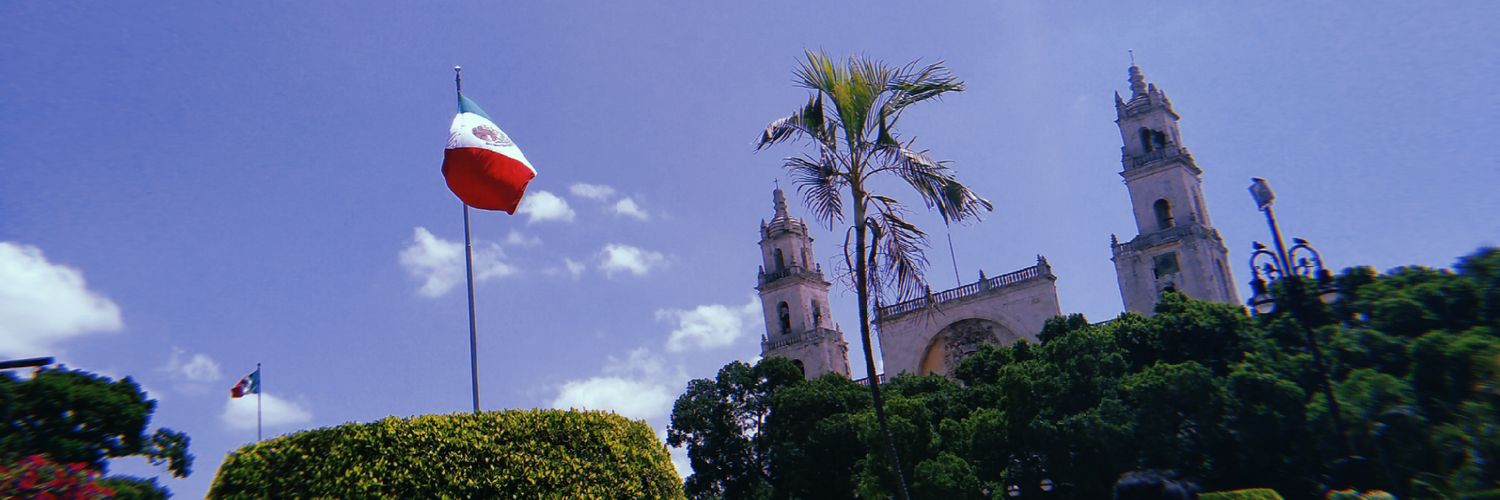 naidice_'s profile banner image