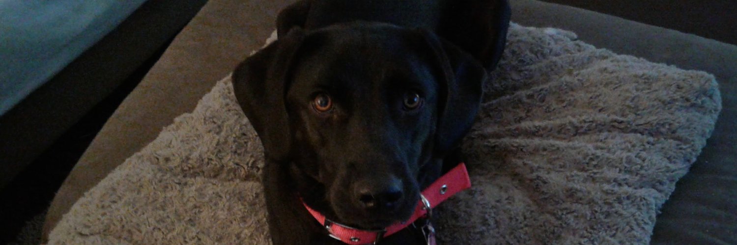 Too old to be a HOST BODY lou 🟧☮️🐾🌊🌊🌊 💙 banner