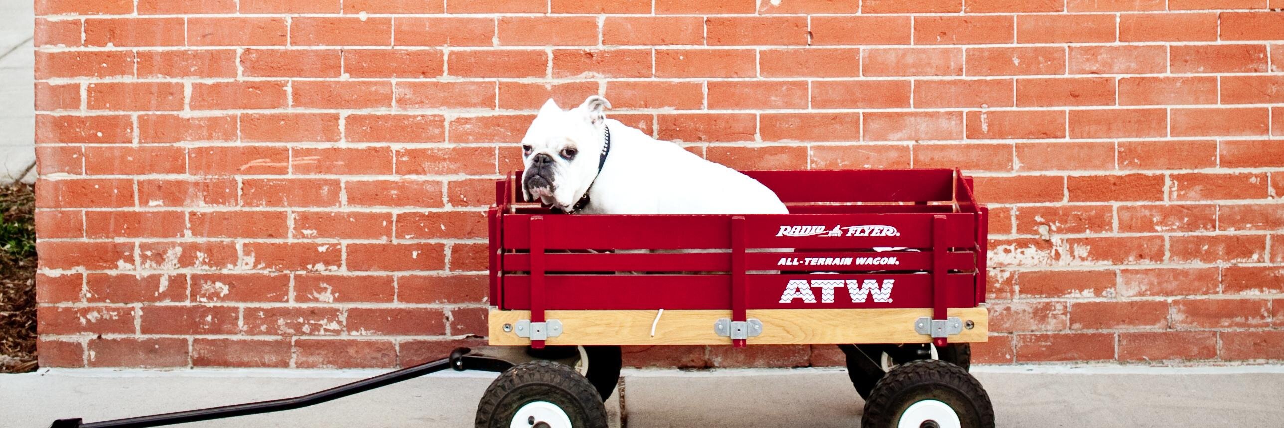 UrbanBulldog banner