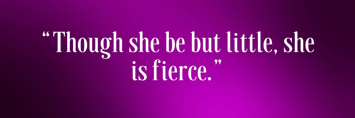 LittleMs_MAC's profile banner image