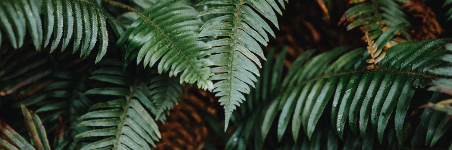 stephoto27's profile banner image