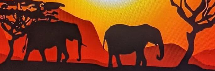 lmagui's profile banner image