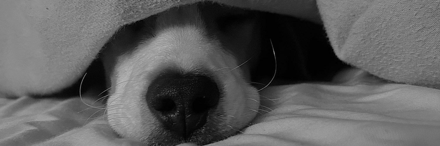 lucasvb07's profile banner image