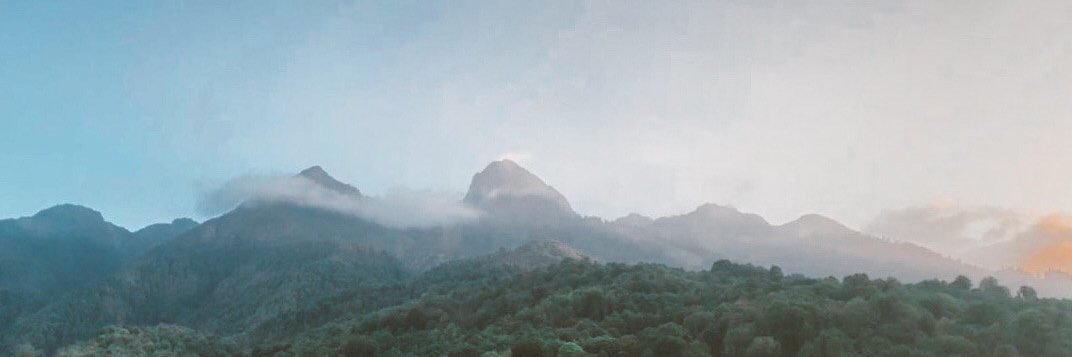 Cherekashka's profile banner image