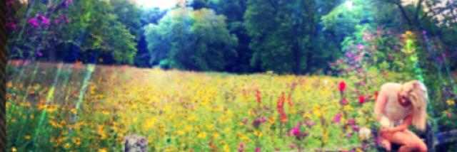 debelgianblonde's profile banner image