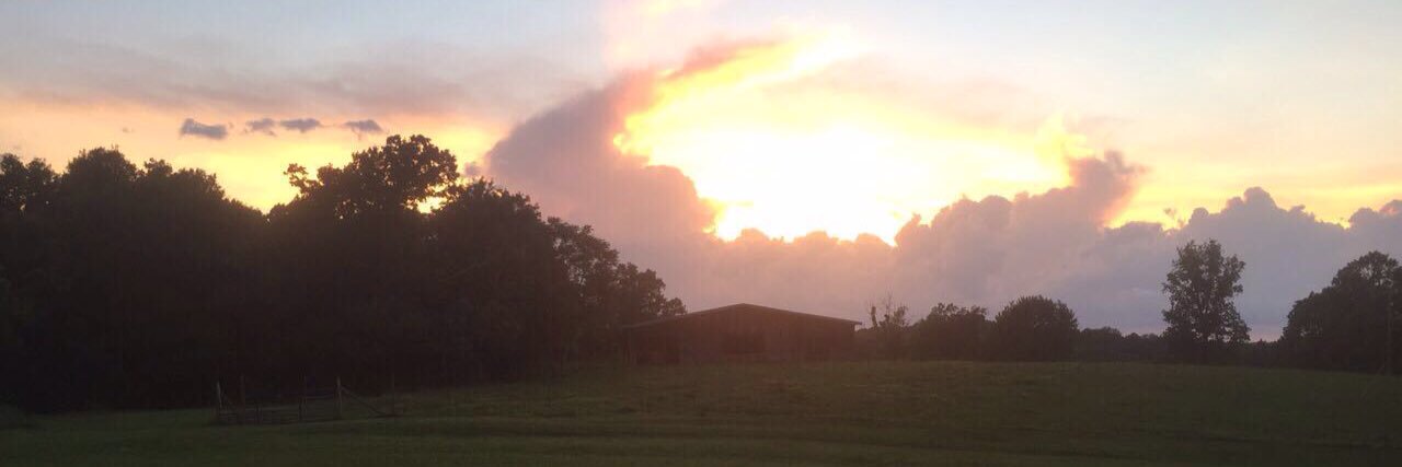 Justin Pearson banner