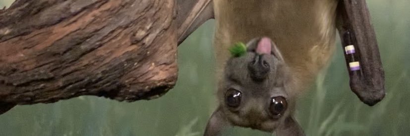 LexxxiCanI's profile banner image