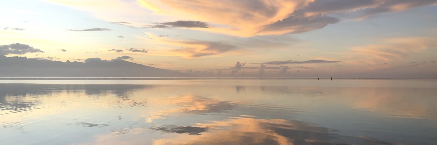 Sotto Isabelle banner