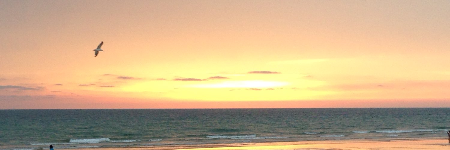 MªLuisa Martínez banner