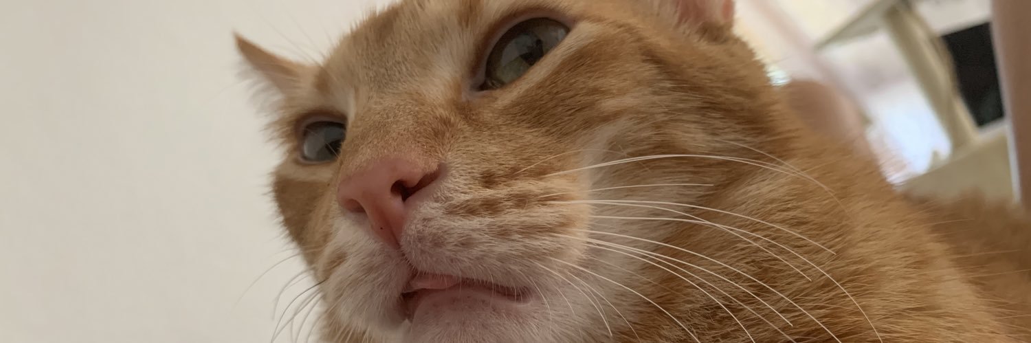 NatPrinzi's profile banner image
