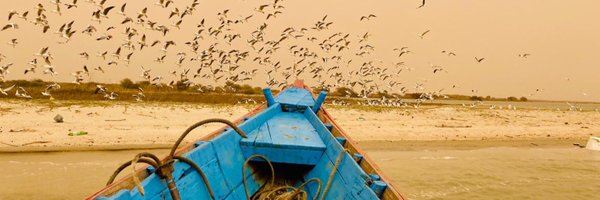 celiacernadas Profile Banner