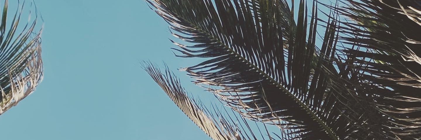 Víctor Barajas banner