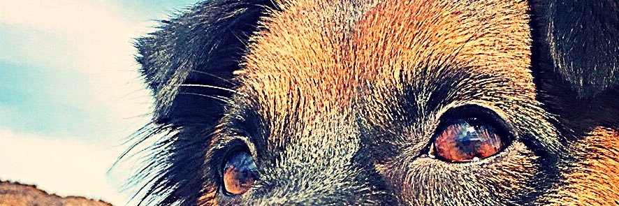 SarayRizo's profile banner image