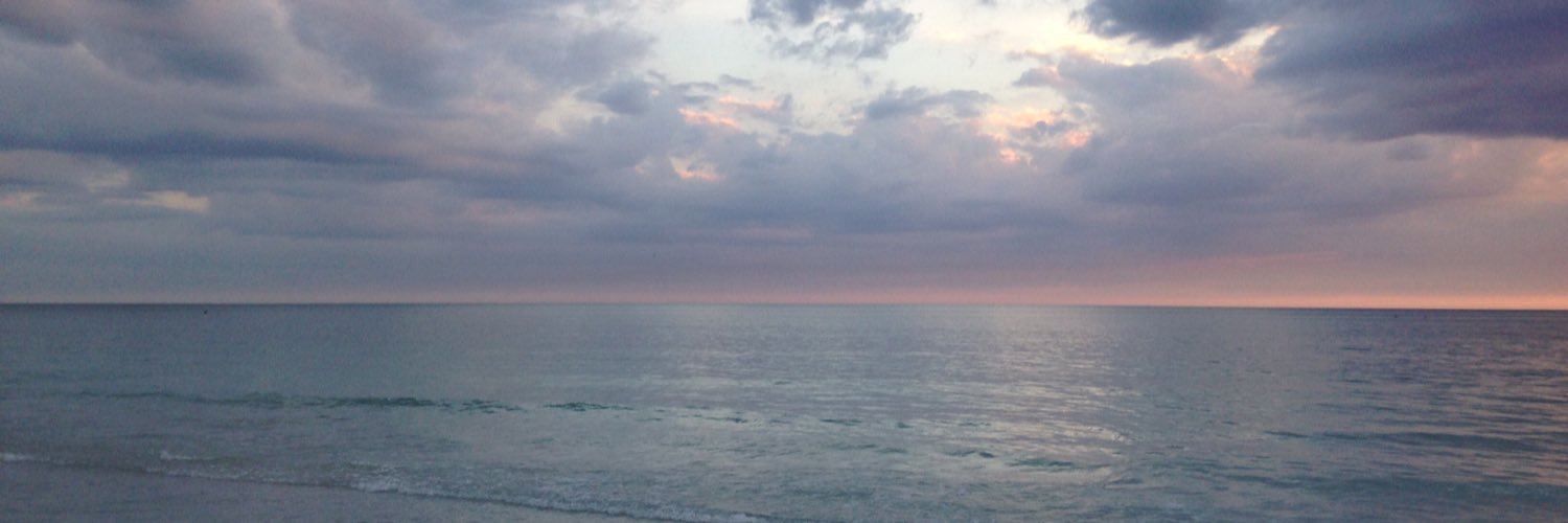spiciesalsa's profile banner image