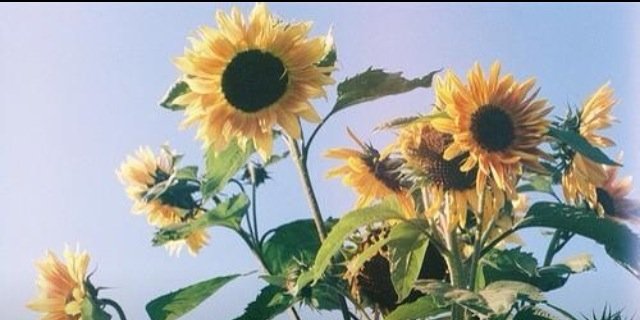 madster69's profile banner image