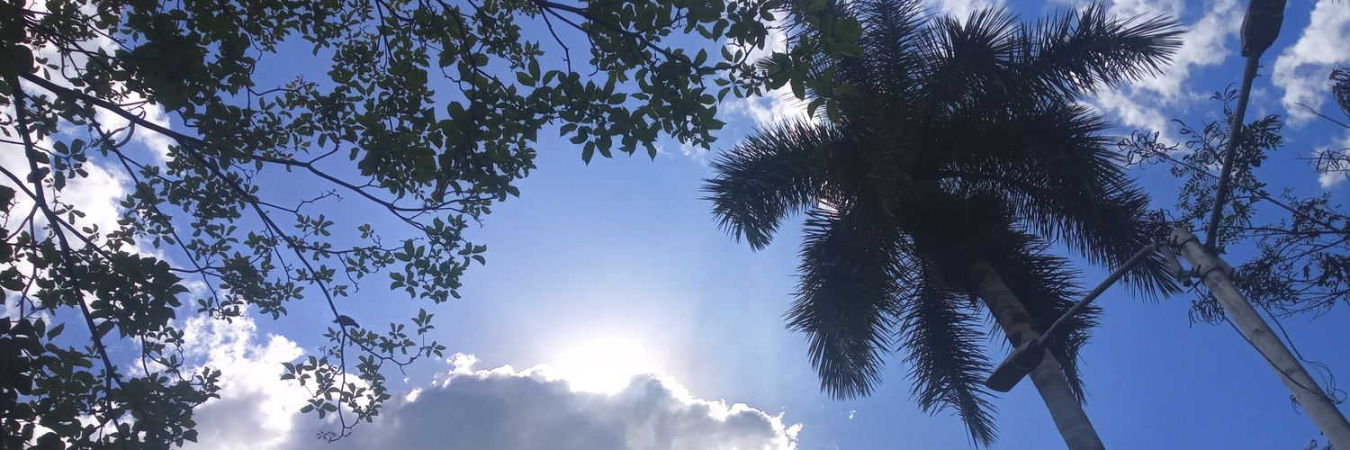AndresFelipeP01's profile banner image