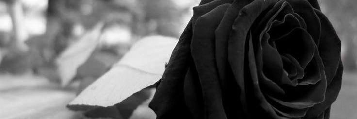 Verónica García banner