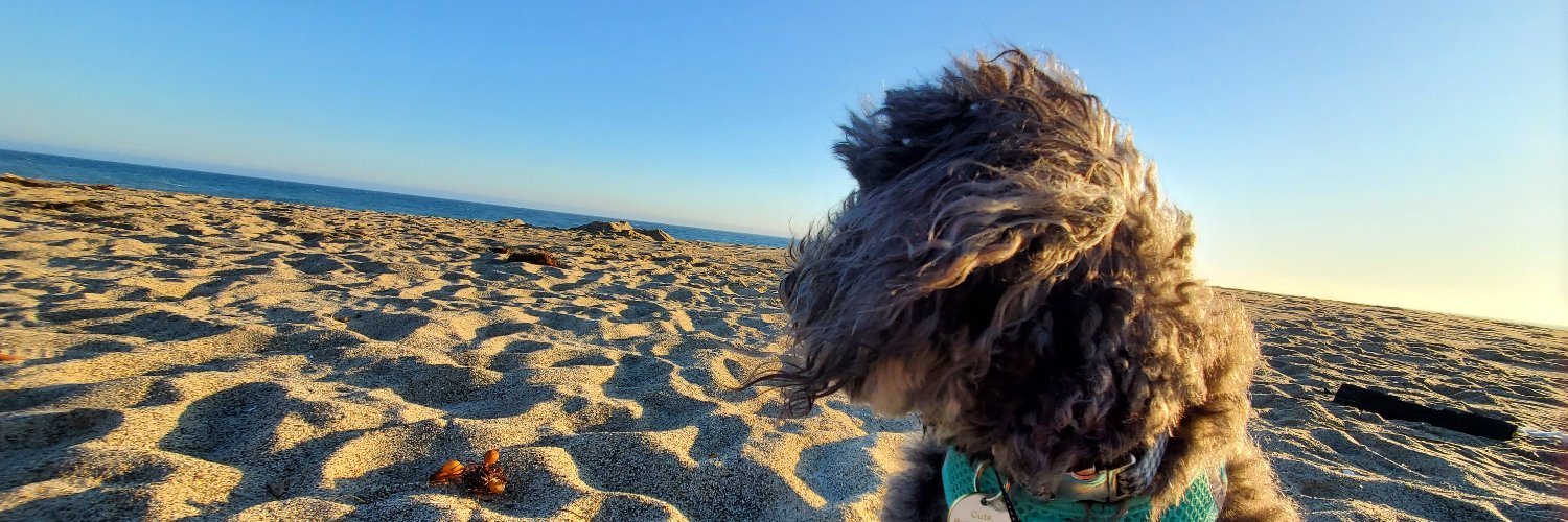 Nicole Sparx 🇺🇦 banner