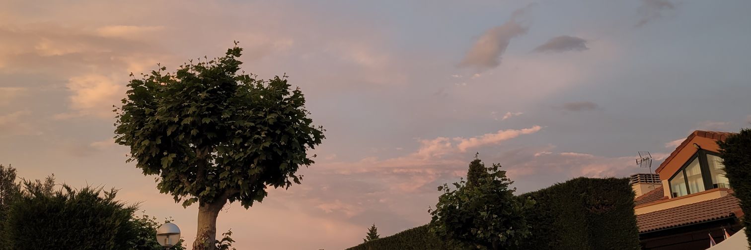 Caarmenw's profile banner image