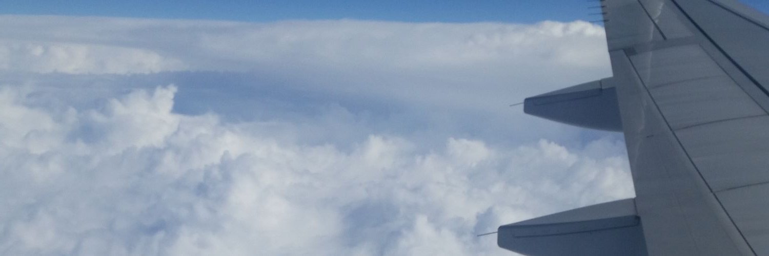 LFinecey's profile banner image