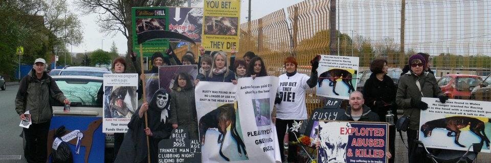 shutdownBV's profile banner image