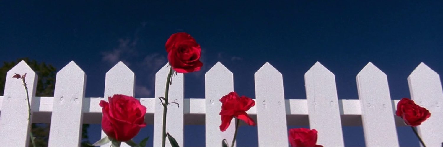 Bessytwits's profile banner image