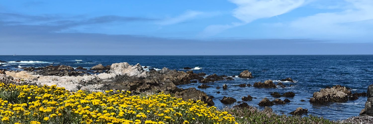 Megan Nicole Stephens banner