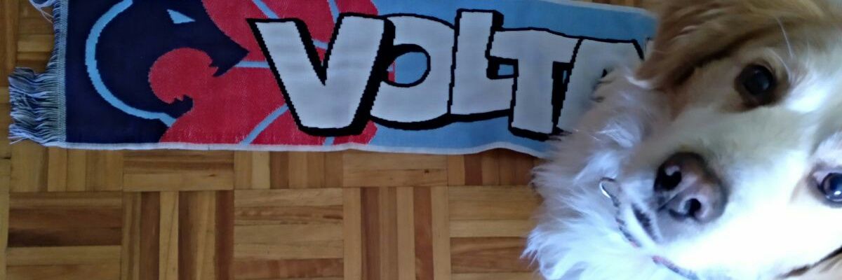 SaalonsoA's profile banner image