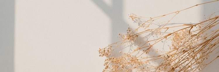 DanielaZenil's profile banner image