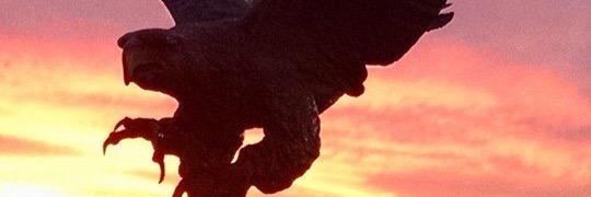 stevehollan's profile banner image
