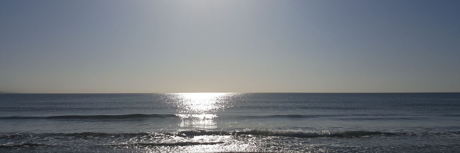 galvan_l's profile banner image