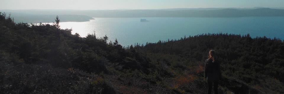 tsimmonscbc's profile banner image