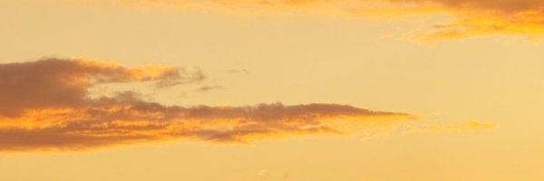 Roa_dice Profile Banner