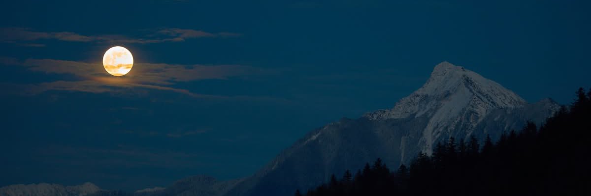 𝒥𝒶𝒸𝓀𝒾𝑒. banner