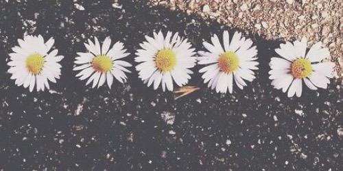 jess_donati's profile banner image