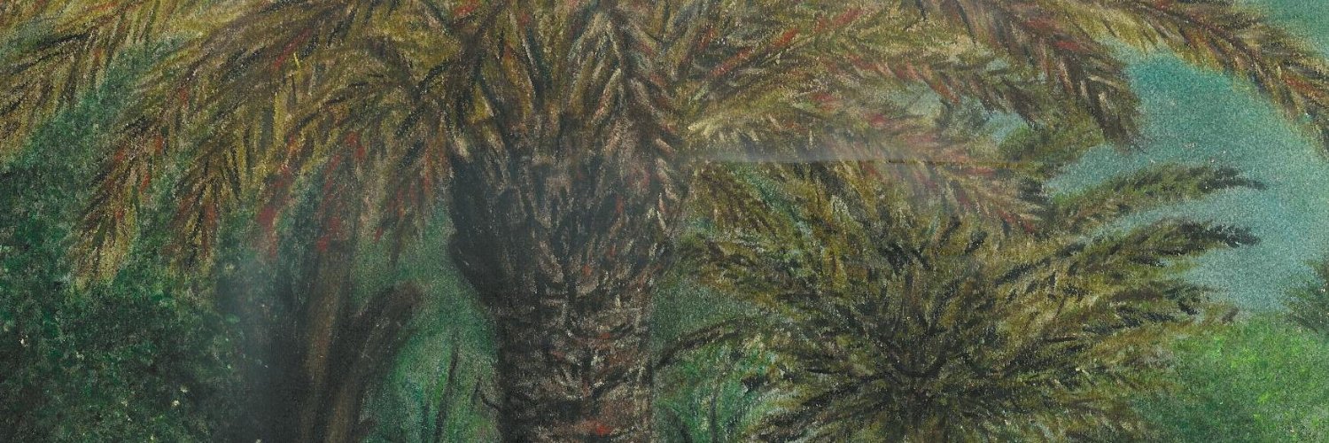 SalehCU's profile banner image