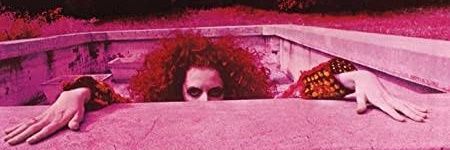dantegouvea's profile banner image
