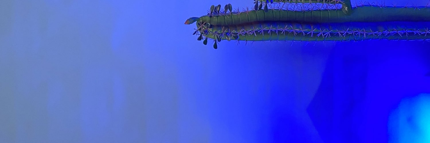 Adeshin_'s profile banner image