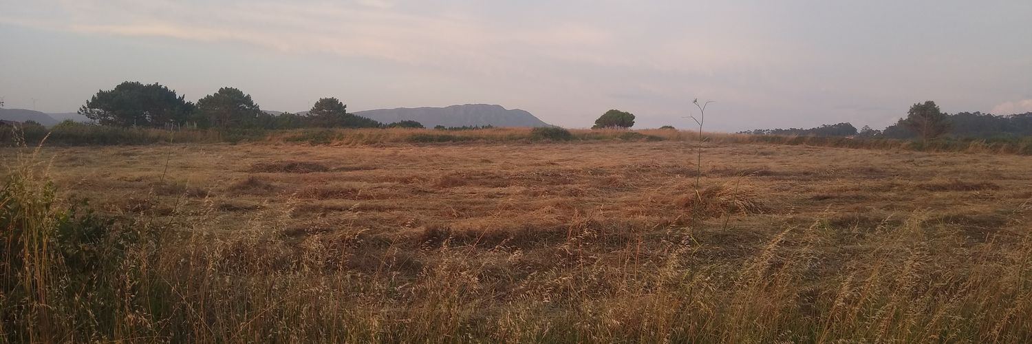 Buommi's profile banner image