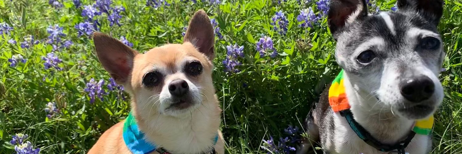 Adrienne Moherek banner