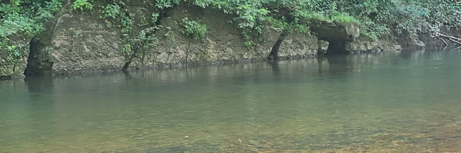 AmyStiffler1's profile banner image