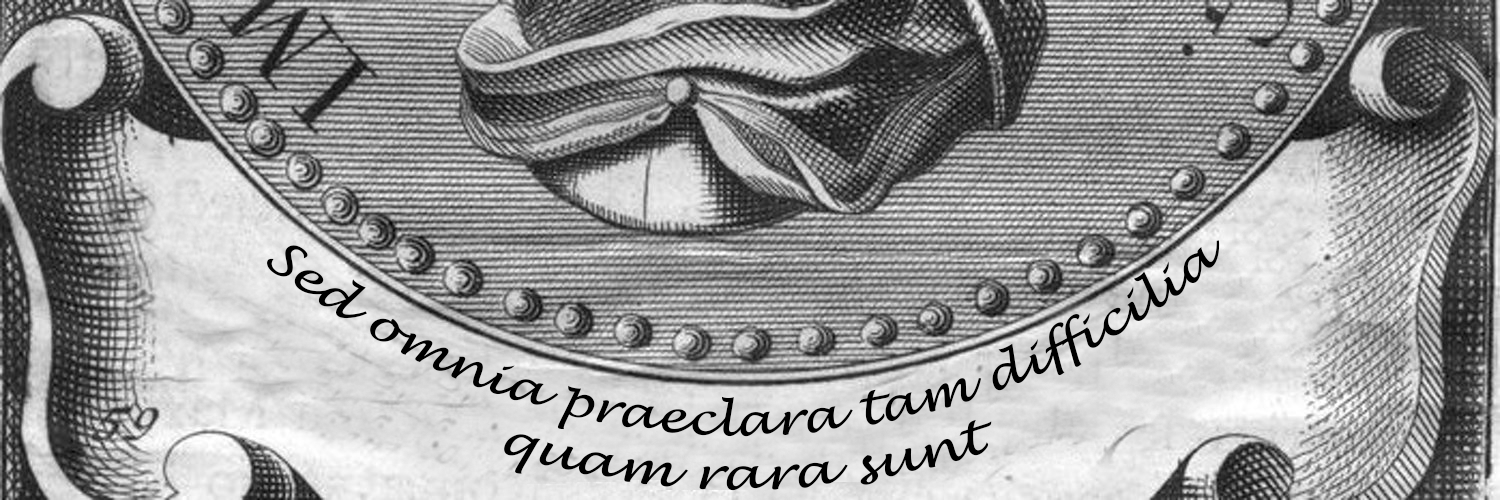 Qualitative Investor banner