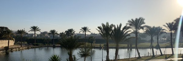 gfalzone22 Profile Banner