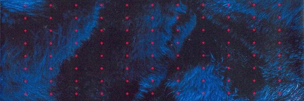 leantodaro's profile banner image