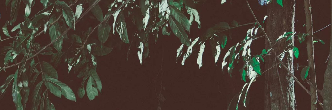 justmanuga's profile banner image