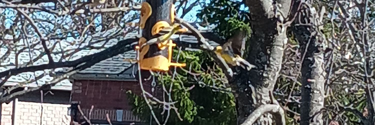 craig vandermeulen banner