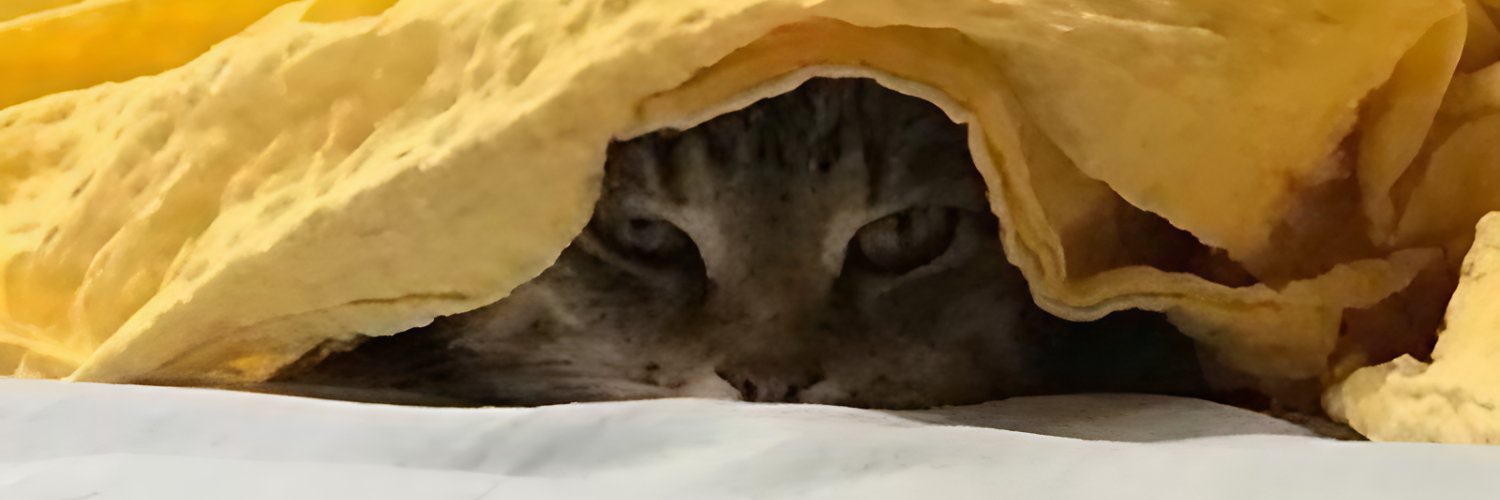 notYulei's profile banner image